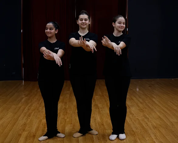 Ժող․ բնորոշ  պարեր